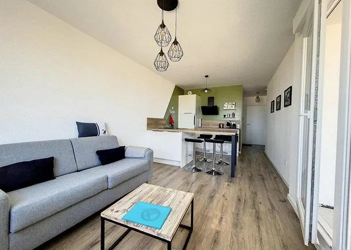 Face Pour 4 Pers, Déco Soignée, Balcon, Garage, Animaux Acceptés - Fr-1-236-155 Appartamento